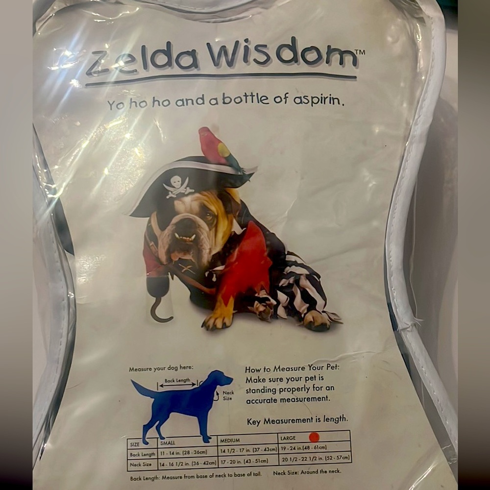 Dog Halloween pirate costume bulldog